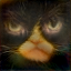 Output Cat Sketch