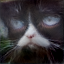 Output Cat Sketch