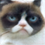 Reconstructed Cat Image