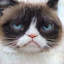 Reconstructed Cat Image