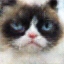 Reconstructed Cat Image