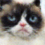 Reconstructed Cat Image