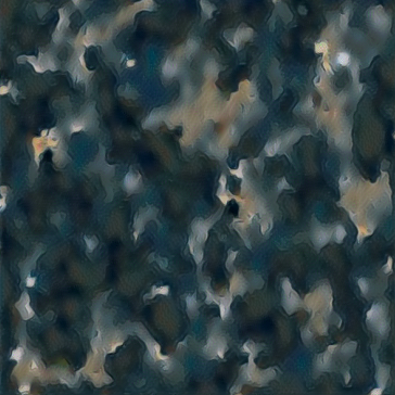 Image optimized for 2nd conv layer with styleloss