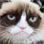 Image optimized for 2nd conv layer with contentloss