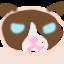 Image optimized for 1st conv layer with contentloss