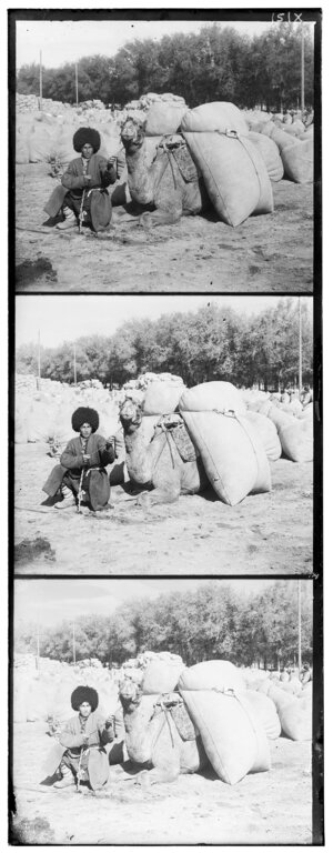 turkmen.jpg