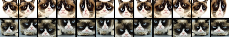 An example of image augmentation.  First image in each row has been subsequently augmented 11 times, thus increasing the data set by 1100%.