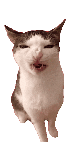 Funny GIF