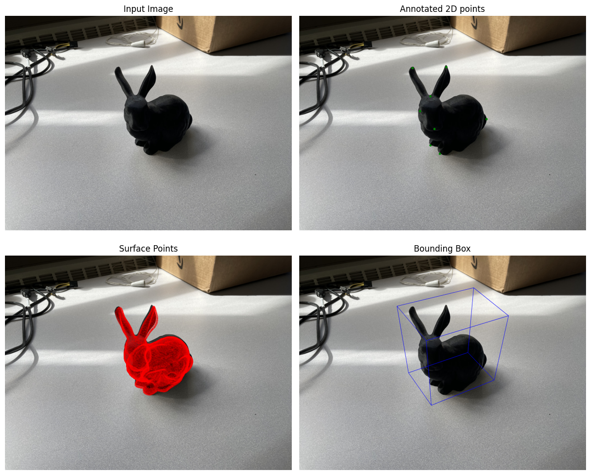Stanford Bunny Projection Result