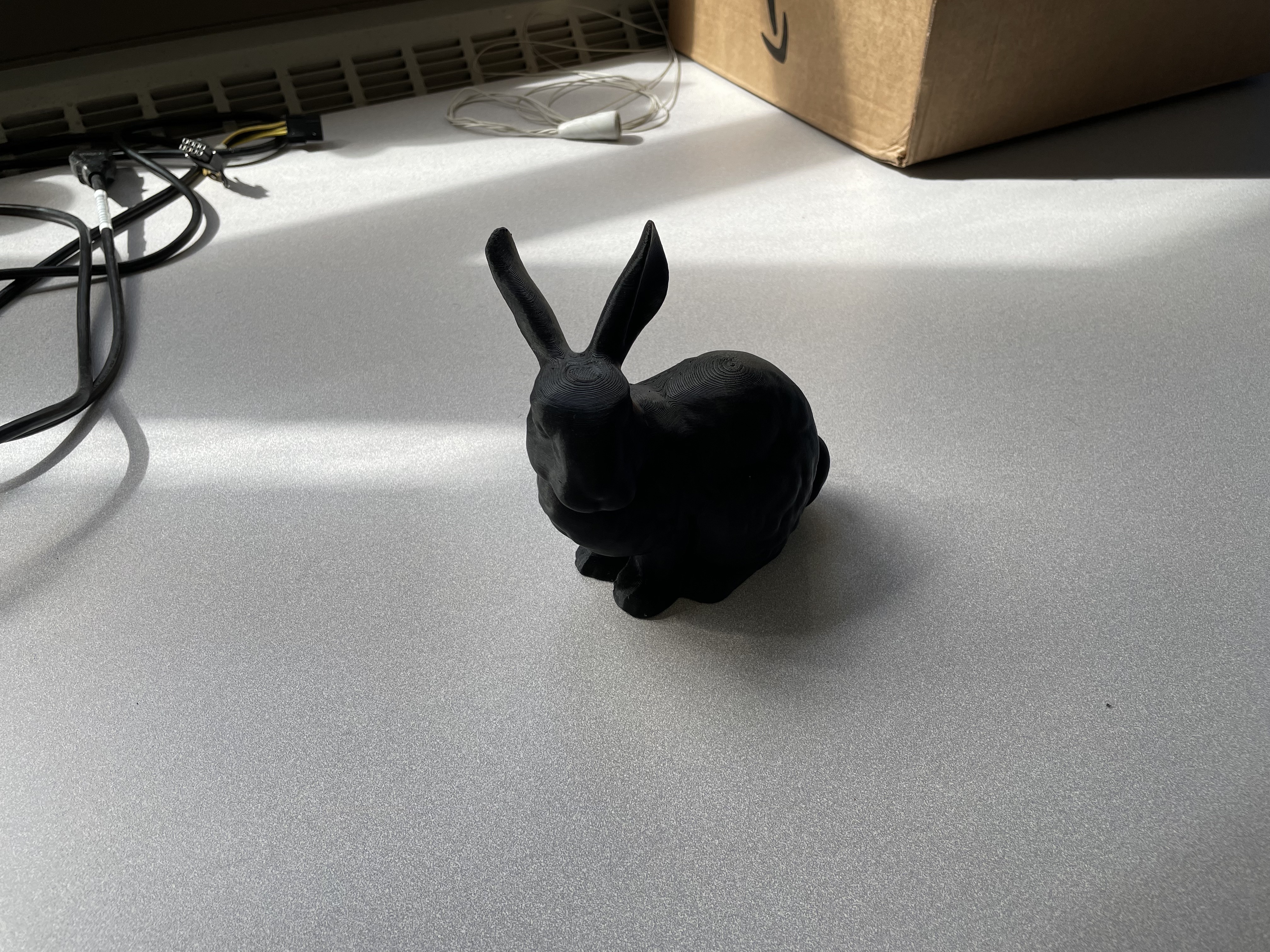 bunny