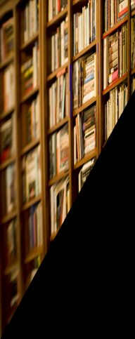 Book1 Test Lines on Affine-Rectified Image