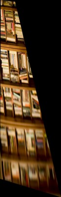 Book1 Metric Rectified Image