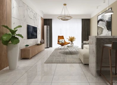 Home Input Image