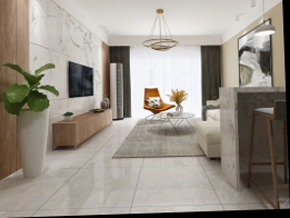 Home Affine-Rectified Image