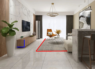 Home Test Lines on Input Image