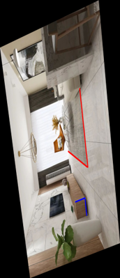 Home Test Lines on Metric-Rectified Image