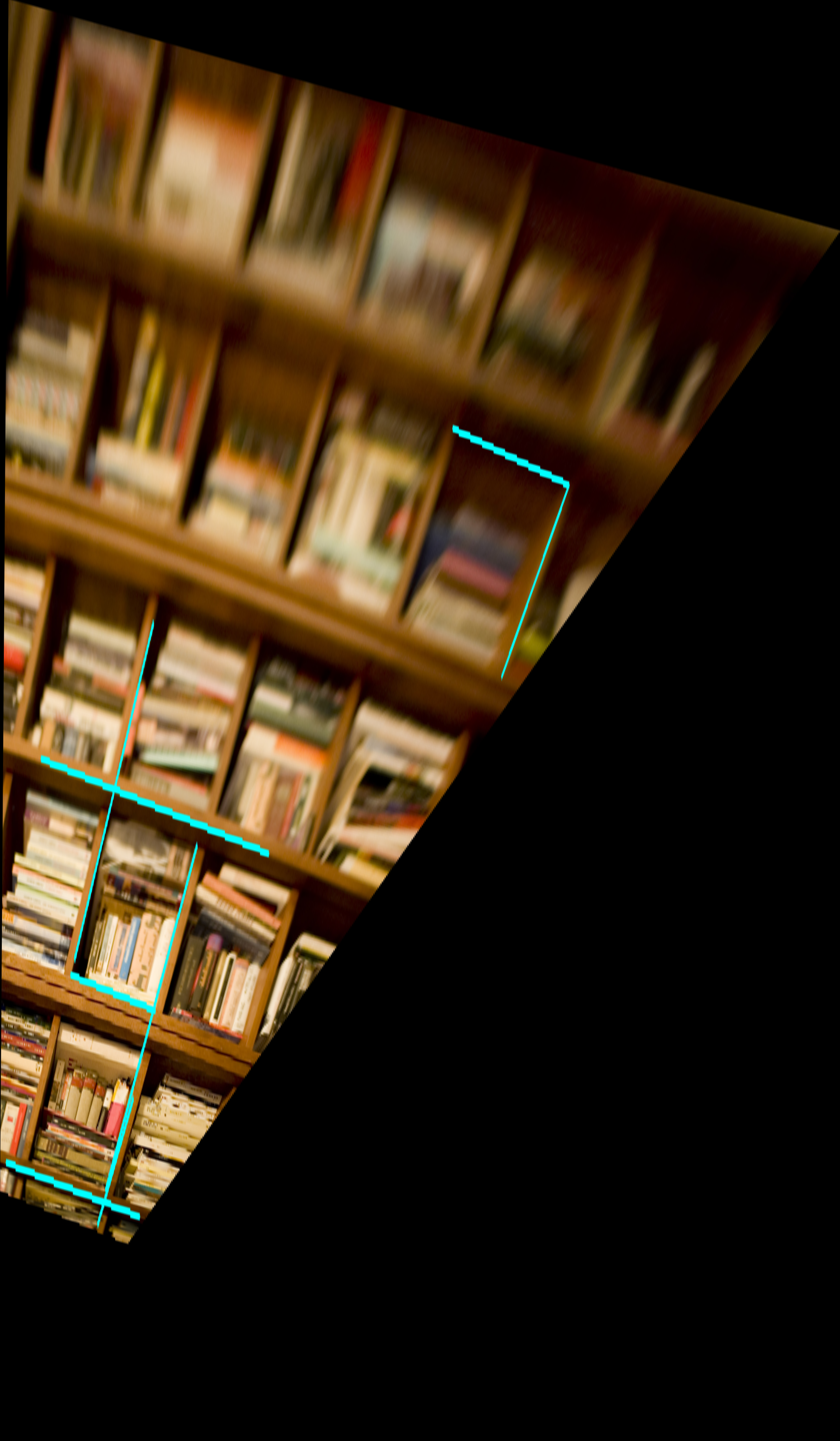 Metric rectified image