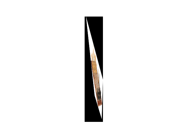 Rectified Image