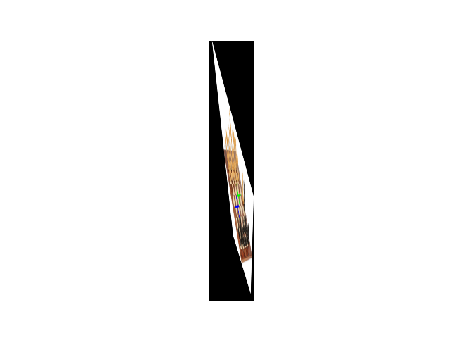 Metric-Rectified Test Lines