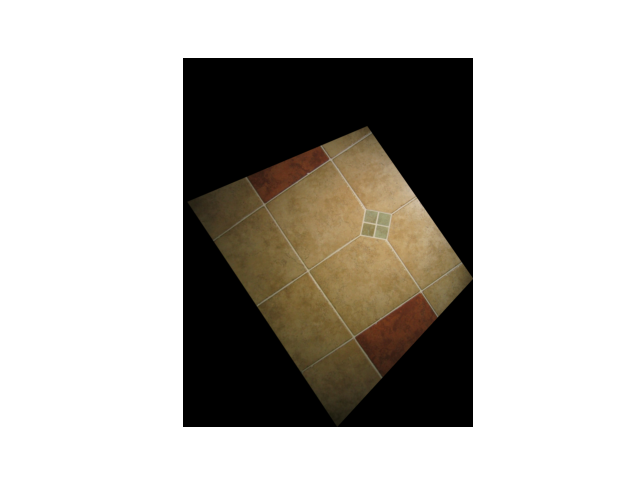 Rectified Image