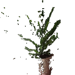 Plant first image point cloud