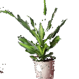 Plant second image point cloud