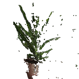 Point cloud from image 1