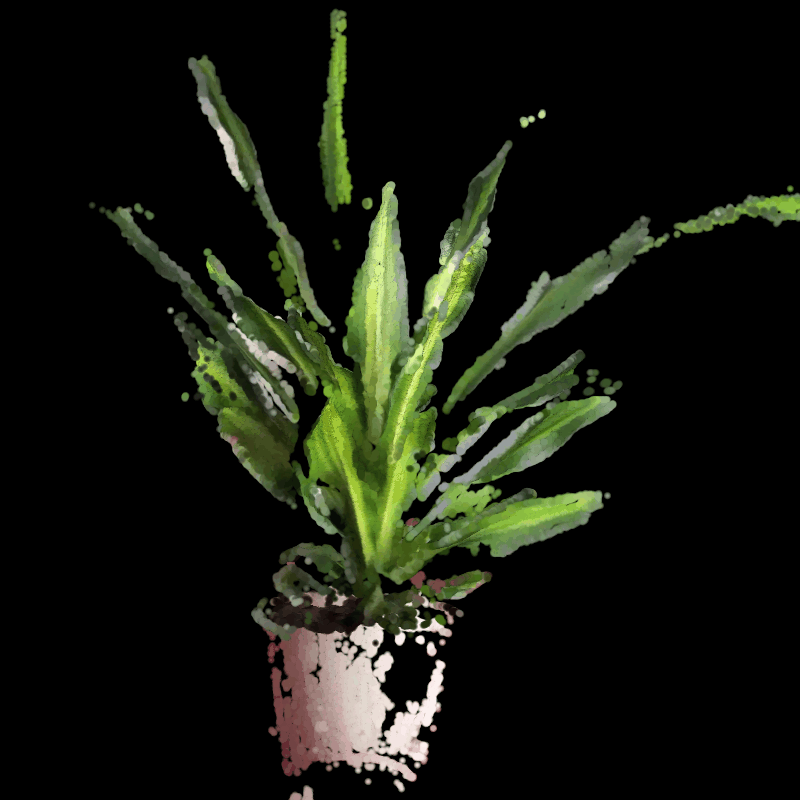 No description has been provided for this image