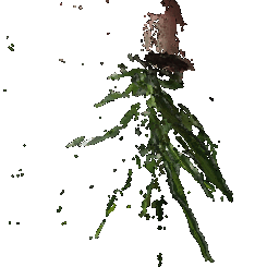 Point Cloud 1