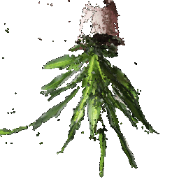 Combined Point Cloud