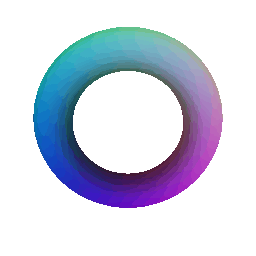 Torus implicit mesh
