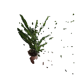 No description has been provided for this image