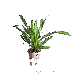 No description has been provided for this image