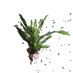 No description has been provided for this image