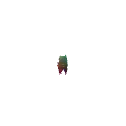 pcd_420_pred_gif