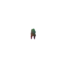 pcd_420_pred_gif