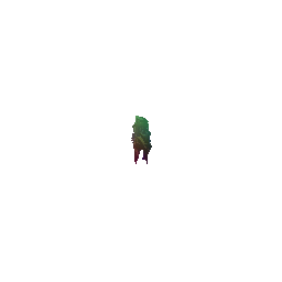 pcd_0_gif
