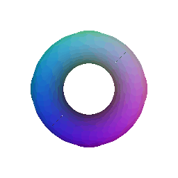 Torus Mesh