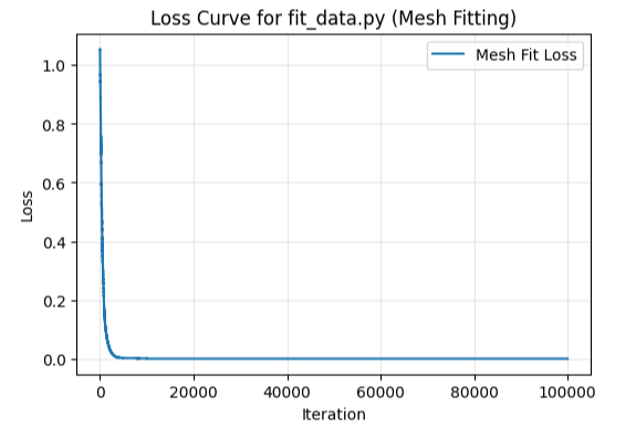 Mesh fit loss curve
