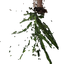 First RGB-D image point cloud