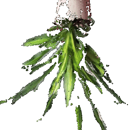 Second RGB-D image point cloud