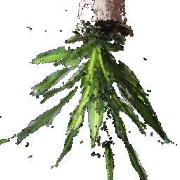 Union of both point clouds