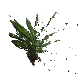 The point cloud corresponding to the first image