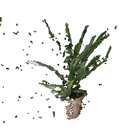Pot 1