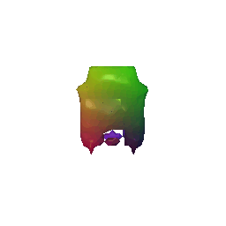 Ground Truth Voxel Grid
