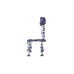 Optimized Point Cloud