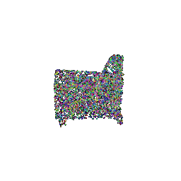 Ground Truth Mesh
