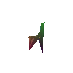 Ground Truth Mesh