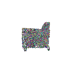 Ground Truth Mesh