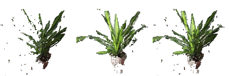 Plants gif